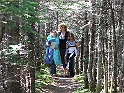 NFLD_drive_to_and-viking_settlement 1029